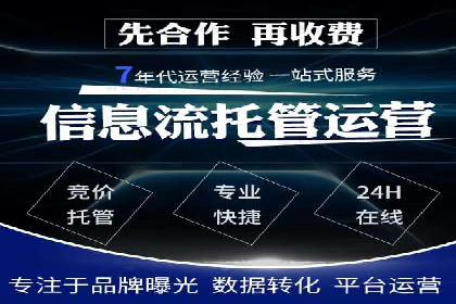探索SEM推广代运营的奥秘：成功背后的故事